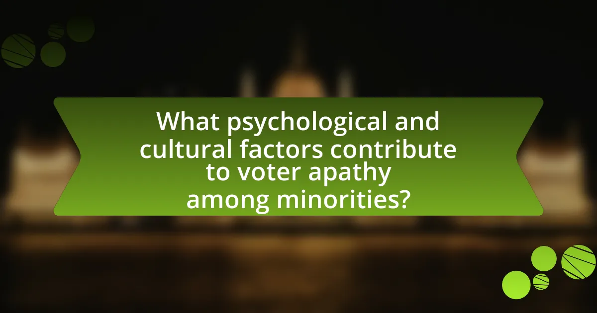 What psychological and cultural factors contribute to voter apathy among minorities?